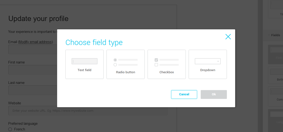 choose-field-type-for-text-custom-field