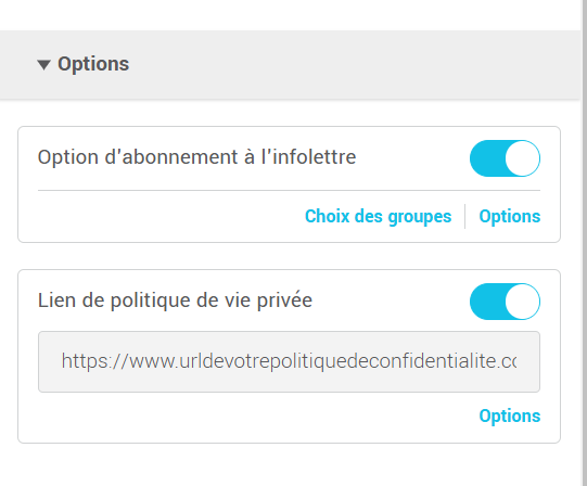 Option de lien de lien de politique de vie privée