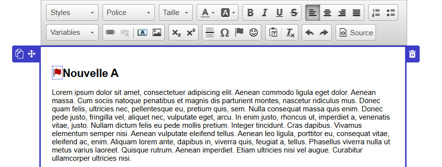 Visuel du drapeau dans le texte